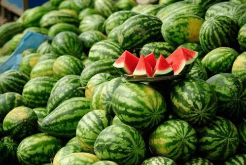 吃日本瓜的网红有哪些,盘点那些吃日本瓜的网红达人  第1张