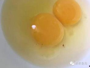 网友爆料鸡蛋视频大全,鸡蛋视频大全，揭秘烹饪技巧与美食诱惑  第2张